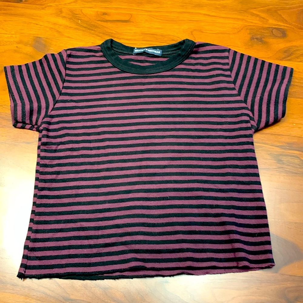 Brandi Melville burgundy and black striped cropped T-shirt